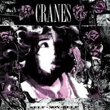 Cranes - Self-Non-Self in the group OUR PICKS / Friday Releases / Friday the 2th august at Bengans Skivbutik AB (5556361)