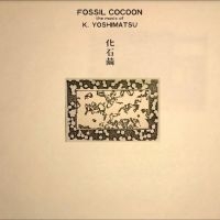 K. Yoshimatsu - Fossil Cocoon: The Music Of K. Yosh in the group OUR PICKS / Friday Releases / Friday the 16th of August at Bengans Skivbutik AB (5556459)