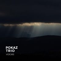 Pokaz Trio - Voices in the group VINYL / Upcoming releases / Jazz at Bengans Skivbutik AB (5556506)