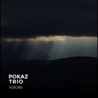 Pokaz Trio - Voices in the group OUR PICKS / Friday Releases / Friday the 2th august at Bengans Skivbutik AB (5556506)