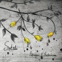 Pettersson & Fredriksson - Sotali in the group OUR PICKS / Friday Releases / Friday the 16th of August at Bengans Skivbutik AB (5556592)