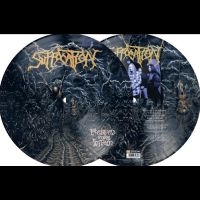 Suffocation - Pierced From Within in the group OUR PICKS / Friday Releases / Friday the 9th of August at Bengans Skivbutik AB (5557152)