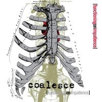 Coalesce - Functioning On Impatience in the group OUR PICKS / Friday Releases / Friday the 9th of August at Bengans Skivbutik AB (5557331)