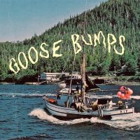 Boyscott - Goose Bumps (Green & Blonde Swirl V in the group OUR PICKS / Friday Releases / Friday the 30:th august 2024 at Bengans Skivbutik AB (5557918)