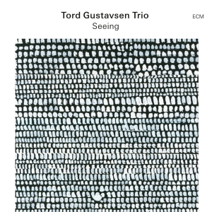 Tord Gustavsen Trio - Seeing in the group OUR PICKS / Friday Releases / Friday the 4th of october 2024 at Bengans Skivbutik AB (5558451)