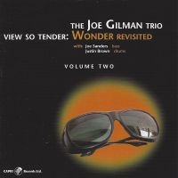 Joe Gilman - View So Tender: Wonder Revisited Vo in the group CD / Jazz at Bengans Skivbutik AB (5559084)