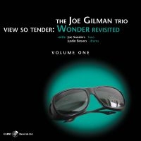 Joe Gilman - View So Tender: Wonder Revisited Vo in the group CD / Jazz at Bengans Skivbutik AB (5559087)