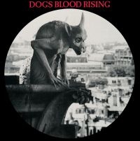 Current 93 - Dogs Blood Rising (Picture Disc Vin in the group OUR PICKS / Friday Releases / Friday the 30:th august 2024 at Bengans Skivbutik AB (5559500)