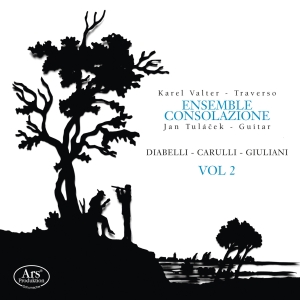 Giuliani/Carulli/Diabelli - Giuliani/Carulli/Diabelli - Works F in the group CD / Klassiskt at Bengans Skivbutik AB (5559810)