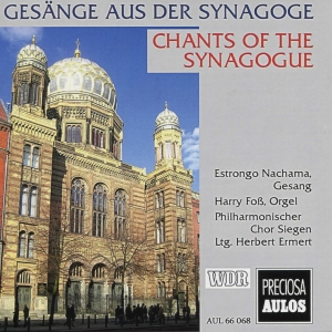 Louis Lewandowski Salomon Sulzer - Chants Of The Synagogue in the group CD / Klassiskt at Bengans Skivbutik AB (5561042)