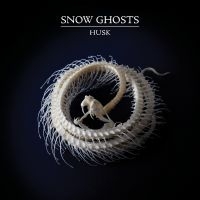 Snow Ghosts - Husk (Clear Vinyl) in the group VINYL / Pop-Rock at Bengans Skivbutik AB (5561048)