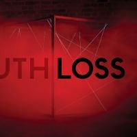 House Of Black Lanterns - Truth & Loss in the group VINYL / Pop-Rock at Bengans Skivbutik AB (5561082)