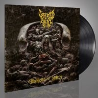 Defeated Sanity - Chronicles Of Lunacy (Vinyl Lp) in the group VINYL / Upcoming releases / Hårdrock at Bengans Skivbutik AB (5562095)