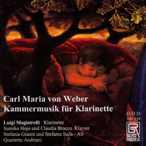 Weber Carl Maria Von - Carl Maria Von Weber - Chamber Musi in the group OUR PICKS / Christmas gift tip CD at Bengans Skivbutik AB (5562157)