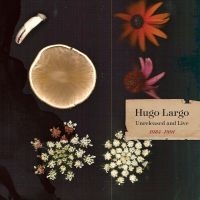 Largo Hugo - Huge, Large And Electric: Hugo Larg in the group VINYL / Upcoming releases / Pop-Rock at Bengans Skivbutik AB (5562651)