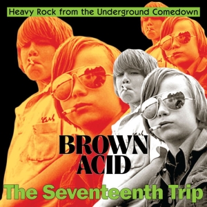 Various Artists - Brown Acid: The 17Th Trip in the group VINYL / Pop-Rock at Bengans Skivbutik AB (5562724)