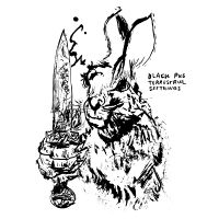 Black Pus - Terrestrial Seethings (Indie Exclus in the group OUR PICKS / Friday Releases / Friday the 18th of october 2024 at Bengans Skivbutik AB (5563691)