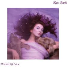 Kate Bush - Hounds Of Love in the group VINYL / Pop-Rock at Bengans Skivbutik AB (5564020)