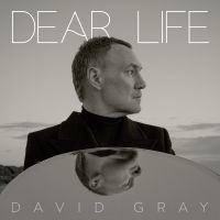 David Gray - Dear Life in the group OTHER / Övrigt /  at Bengans Skivbutik AB (5565975)