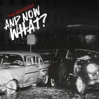 Peacocks The - And Now What? (Coloured Vinyl Lp) in the group OTHER / Övrigt /  at Bengans Skivbutik AB (5566784)