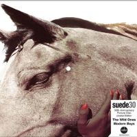 Suede - The Wild Ones (30Th Anniversary Edi in the group OUR PICKS / Friday Releases / Friday the 8th of november 2024 at Bengans Skivbutik AB (5567988)