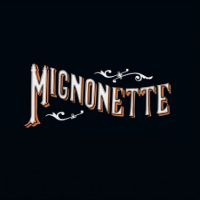 Avett Brothers The - Mignonette in the group VINYL / Upcoming releases / Country,Svensk Folkmusik at Bengans Skivbutik AB (5568081)