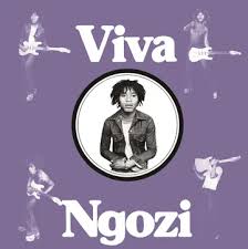 Paul  Ngozi - Viva Ngozi (Opaque Orange Vinyl) (Rsd) in the group OTHER / Övrigt /  at Bengans Skivbutik AB (5568345)