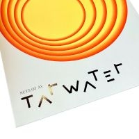 Tarwater - Nuts Of Ay in the group VINYL / Upcoming releases / Pop-Rock at Bengans Skivbutik AB (5569085)