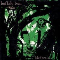 Buffalo Tom - Birdbrain in the group OUR PICKS / Friday Releases / Friday the 8th of november 2024 at Bengans Skivbutik AB (5569207)