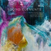 Friedlander Elam - Sound-Elements in the group OUR PICKS / Friday Releases / Friday the 6th december 2024 at Bengans Skivbutik AB (5571108)