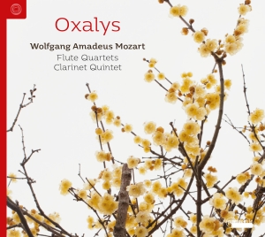 Oxalys - W. A. Mozart: Flute Quartets & Clar in the group OUR PICKS / Christmas gift tip CD at Bengans Skivbutik AB (5571403)