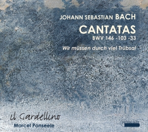 Il Gardellino - J. S. Bach - Cantatas Bwv 146, 103, in the group OUR PICKS / Christmas gift tip CD at Bengans Skivbutik AB (5571438)