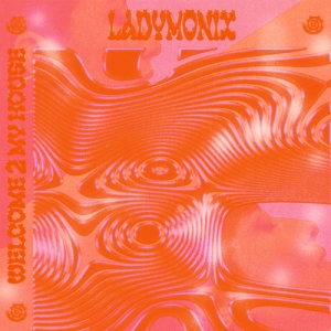 Ladymonix - Welcome 2 My House in the group VINYL / Elektroniskt at Bengans Skivbutik AB (5571804)