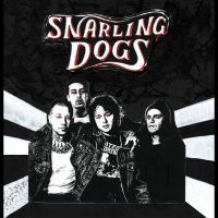 Snarling Dogs - Snarling Dogs in the group VINYL / Upcoming releases / Pop-Rock at Bengans Skivbutik AB (5571901)