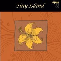 Tiny Island - Tiny Island in the group VINYL / New releases / Blues at Bengans Skivbutik AB (5571951)