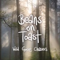 Beans On Toast - Wild Goose Chasers in the group CD / Upcoming releases / Pop-Rock at Bengans Skivbutik AB (5572138)