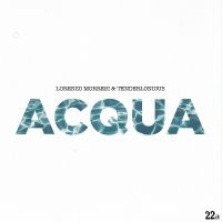 Morresi Lorenzo & Tenderlonious - Acqua in the group VINYL / Jazz at Bengans Skivbutik AB (5572472)