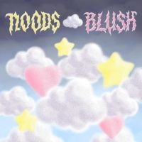 Noods - Blush in the group Pop-Rock at Bengans Skivbutik AB (5572606)