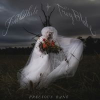 Jim White - Precious Bane in the group VINYL / Upcoming releases / Pop-Rock at Bengans Skivbutik AB (5573506)