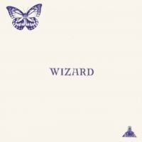 Wizard - Wizard in the group OUR PICKS / Frontpage - Vinyl New & Forthcoming at Bengans Skivbutik AB (5573585)