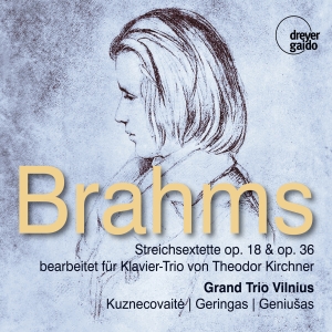 Grand Trio Vilnius - Johannes Brahms: String Sextets Opp in the group OUR PICKS / Christmas gift tip CD at Bengans Skivbutik AB (5573902)