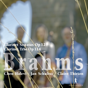 Brahms - Clarinet Sonatas Op. 120, Clarinet in the group OUR PICKS / Christmas gift tip CD at Bengans Skivbutik AB (5575021)