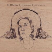 David Sylvian - Died In The Wool - Manafon Variatio in the group OUR PICKS / Friday Releases / 2025-01-31 at Bengans Skivbutik AB (5575273)