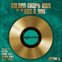 Various Artists - Golden Chart Hits Of The 80S & 90S in the group VINYL / Pop-Rock at Bengans Skivbutik AB (5575506)