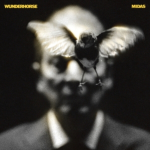 Wunderhorse - Midas in the group OUR PICKS / Frontpage - Vinyl New & Forthcoming at Bengans Skivbutik AB (5576038)