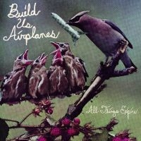 Build Us Airplanes - All Things Expire in the group VINYL / Upcoming releases / Pop-Rock at Bengans Skivbutik AB (5576415)