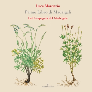 Luca Marenzio - First Book Of Madrigals (1580) in the group OUR PICKS / Christmas gift tip CD at Bengans Skivbutik AB (5577002)