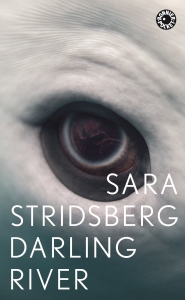 Sara Stridsberg - Darling River in the group OTHER / Books at Bengans Skivbutik AB (5578231)