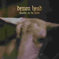 Demon Head - Thunder On The Fields Lp Gold in the group VINYL / Hårdrock at Bengans Skivbutik AB (5578905)