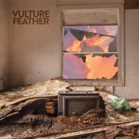 Vulture Feather - It Will Be Like Now (Limited Rose V in the group VINYL / Upcoming releases / Pop-Rock at Bengans Skivbutik AB (5578978)